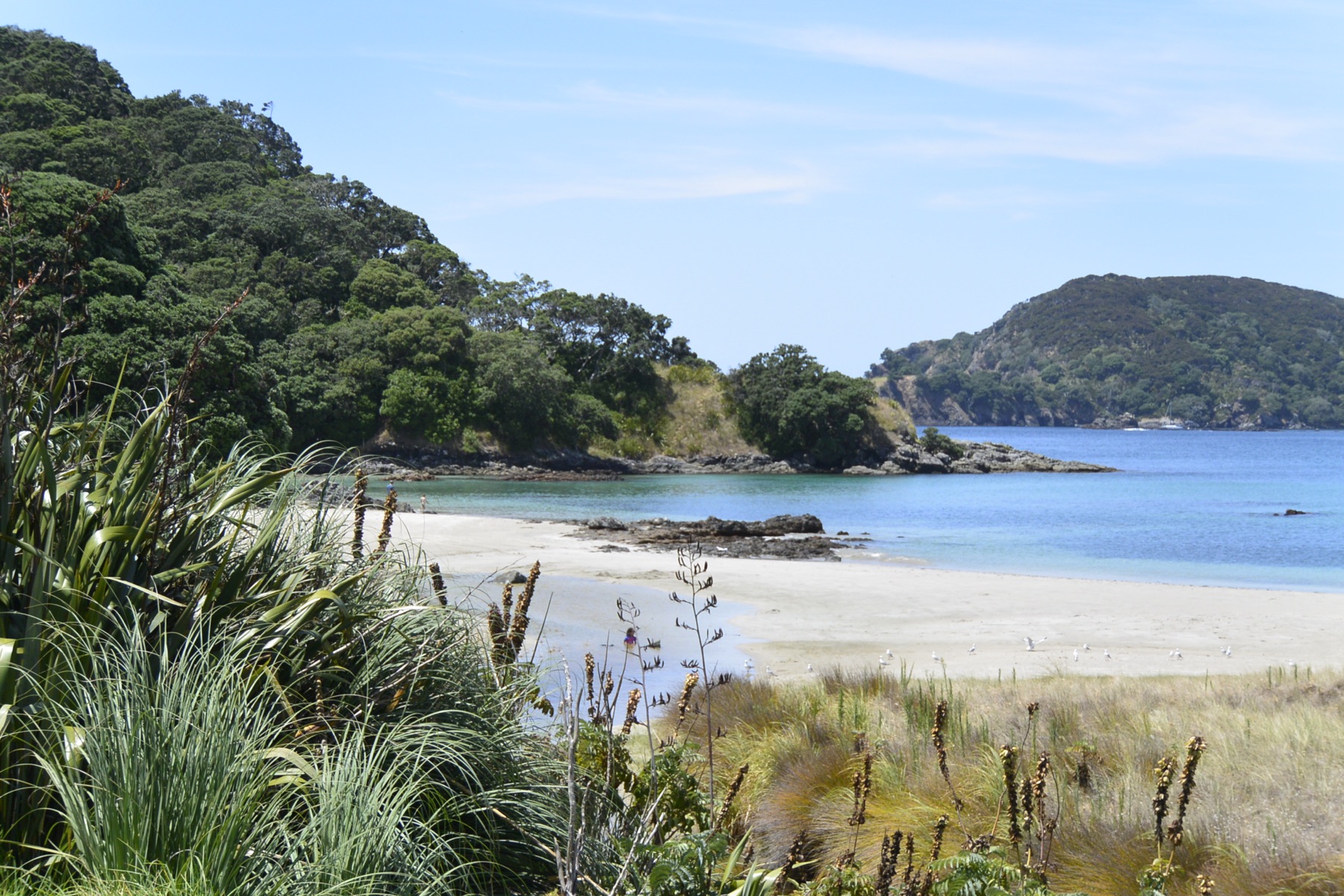 Scenic water and mountain landscape
